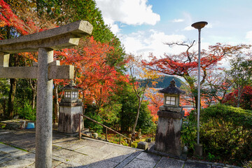 三明院境内の紅葉