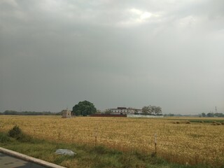 rainbow over the field