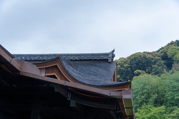 清水寺 本堂の檜皮葺き屋根