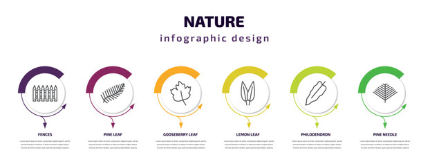 nature infographic template with icons and 6 step or option. nature icons such as fences, pine leaf, gooseberry leaf, lemon leaf, philodendron, pine needle vector. can be used for banner, info