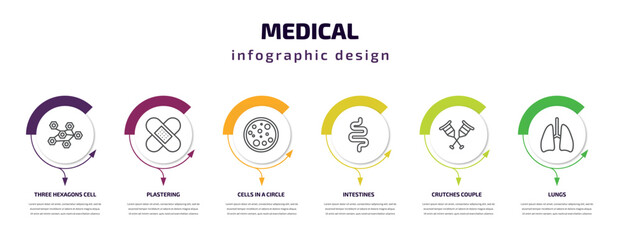 medical infographic template with icons and 6 step or option. medical icons such as three hexagons cell, plastering, cells in a circle, intestines, crutches couple, lungs vector. can be used for