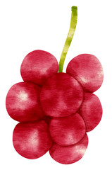 fruit watercolor style for Thanksgiving Decorative Element