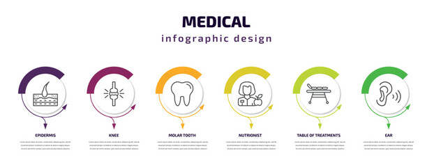medical infographic template with icons and 6 step or option. medical icons such as epidermis, knee, molar tooth, nutrionist, table of treatments, ear vector. can be used for banner, info graph,