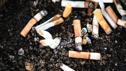 Burn cigarette butts on astray. Object photo, close-up and selective focus.