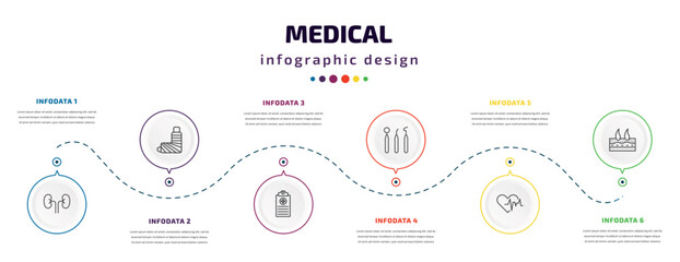 medical infographic element with icons and 6 step or option. medical icons such as kidney, plastered foot, medical records, dentist tool, cardiogram, dermis vector. can be used for banner, info