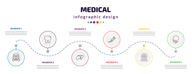 medical infographic element with icons and 6 step or option. medical icons such as sternum, molar tooth, liver, ointment, hospital placeholder, pharynx vector. can be used for banner, info graph,