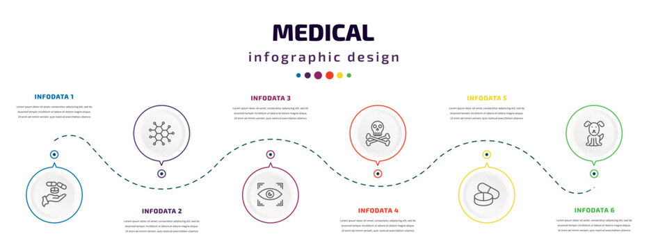 medical infographic element with icons and 6 step or option. medical icons such as drugs, molecular configuration, eye scanner medical, skull and bone, pill, canine vector. can be used for banner,