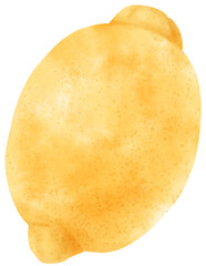 watercolor lemon fruit