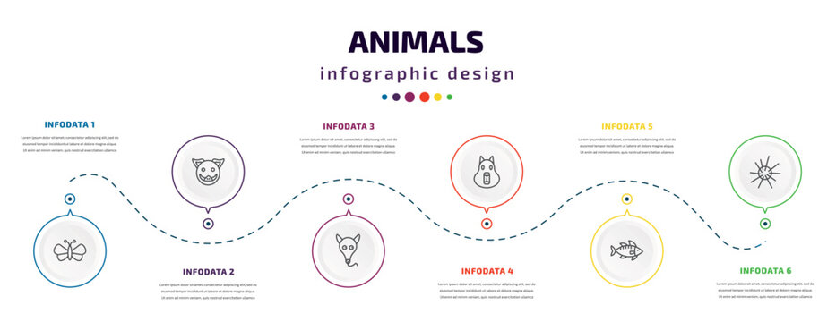 animals infographic element with icons and 6 step or option. animals icons such as butterfly with wings, boar, ant eater, capybara, zander, sea urchin vector. can be used for banner, info graph,