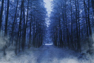 halloween forest. scary road in the night forest.