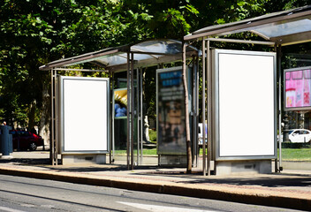 bus shelter with empty white ad panel and light box. urban setting with green park. billboard for...