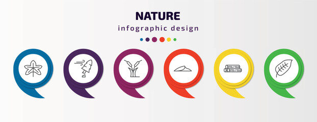 nature infographic template with icons and 6 step or option. nature icons such as grape leaf, damaged, reed bed, dune, woods, ovate vector. can be used for banner, info graph, web, presentations.