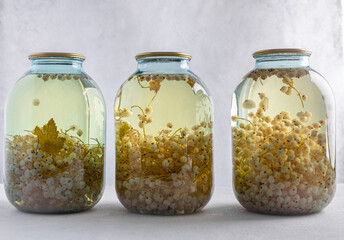 White currant compote, jars on a white background,