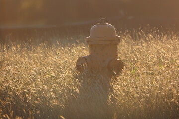fire hydrant