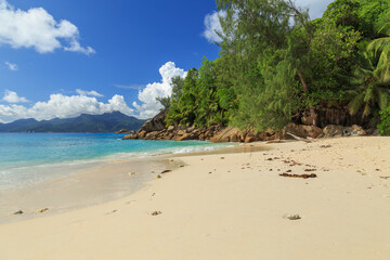 Beautiful view of the Indian Ocean with sand, rocks and palm trees from Anse Soleil at Mahé - Seychelles