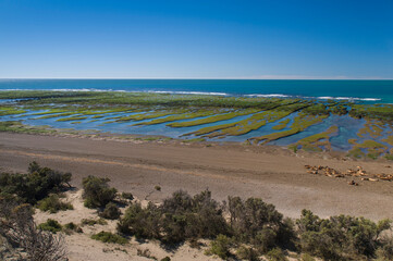 Coastal landscape with cliffs in Peninsula Valdes, World Heritage Site, Patagonia Argentina