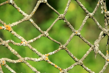 Close-up of an old net on a green blurred background, selective focus