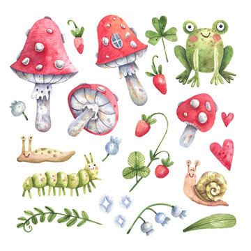Set of watercolor forest illustrations, fly agaric, wild strawberries, forest plants, frog, snails hand-drawn in watercolor. Cartoon forest illustration isolated on white background.