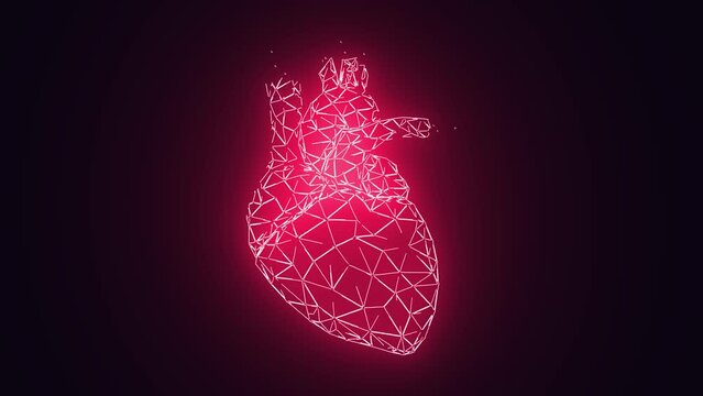 Human Heart Beating Animation