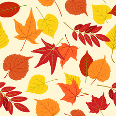 Fototapeta premium Fall seamless pattern with natural leaves falling. Autumn foliage background wallpaper repeat design.