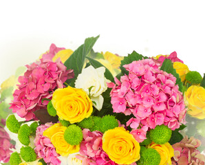 pink hortensia flowers