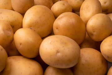 A group of fresh tasty potato as  background.
