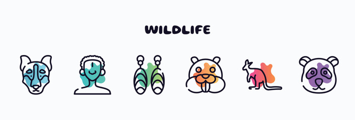 wildlife outline icons set. thin line icons such as siberian husky, african man, earrings, beaver, kangaroo, panda icon collection. can be used web and mobile. © VectorStockDesign