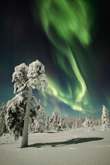 north sky