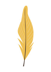 Collection of vector magic fairy tale elements, icons and illustrations. Feather.