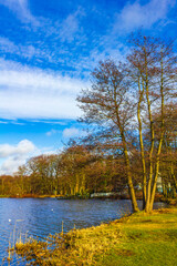 Obraz premium Natural panorama view lake pathway green plants trees forest Germany.