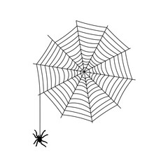 Spider and cobweb are Halloween symbols. Flat vector illustration of web isolated on white background.