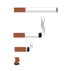 Vector illustration of a whole cigarette, a smoked cigarette, an extinct cigarette butt.
