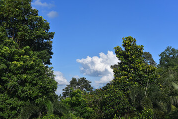 Beautiful sky. Cumulonimbus cloud and cirrus cloud