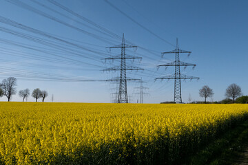 Yellow field near Bochum