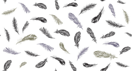 Feathers. Hand drawn sketch illustrations.	
