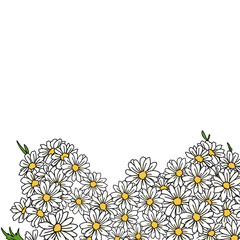  flower white daisy, concept blossom, summer, natural, frame, promotion, premium, poster, design, wallpaper 