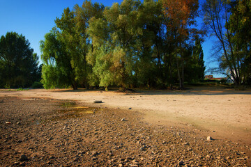 Dried up river bed, beach without water. Low water level of the Rhein dry river landscape, photo On the banks of the Rhine dried out in Cologne.