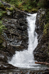 Obraz premium waterfall in the forest, åre.jämtland. norrland sverige sommar årstid,sweden