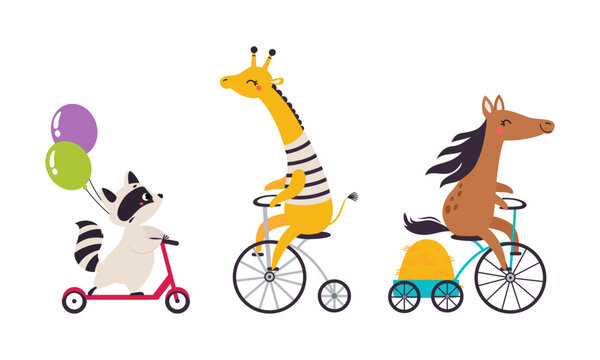 Cute baby animals enjoying ride. Giraffe and horse on bike, raccoon on kick scooter cartoon vector illustration