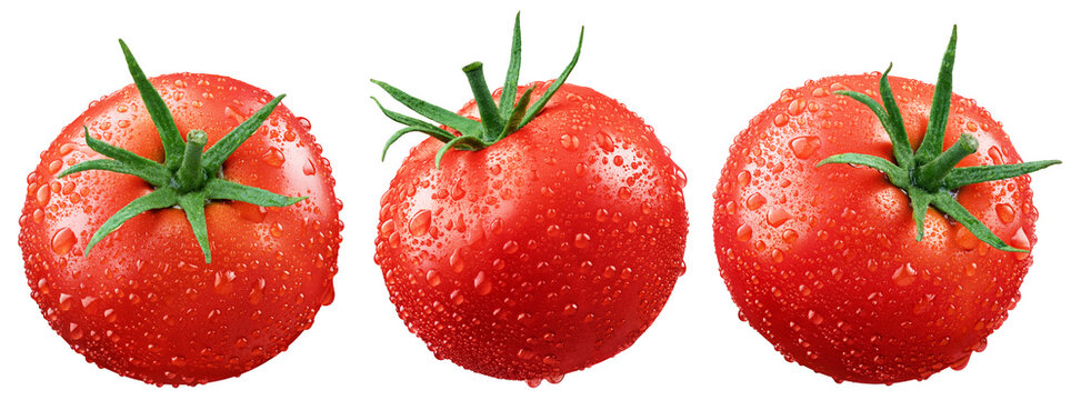 Set of wet red tomatoes isolated on white background with clipping path. Fresh tomato with drops. Full Depth of Field