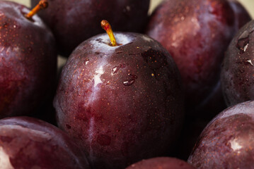 Round plums with water droplets close up