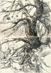 An hand drawn illustration, scanned picture - summer time - an old tree