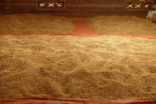 Close up of coffee beans on mats on the floor in a farm warehouse
