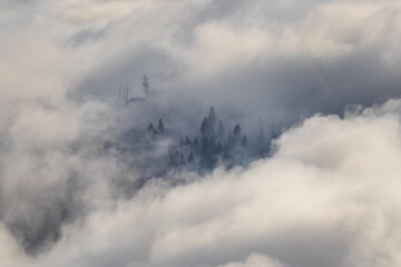 Fototapeta na wymiar Dramatic scene of mountains and pine trees peaking through a clearing in the clouds of Idaho in the pacific northwest.