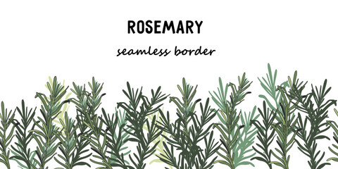 Rosemary herbs and spices hand drawn seamless vector background.