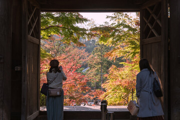 秋の鎌倉　円覚寺の総門と紅葉したもみじ　観光客のシルエット　Autumn...