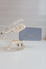 Business card for a dental clinic. Gray business card on a stand for a dental clinic. Business card in jaw support