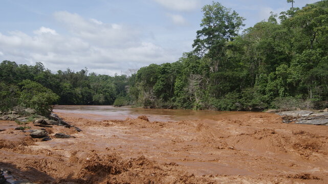 Rio Doce - Efeitos da trag&eacute;dia do rompimento da barragem de rejeitos de Brumadinho - MG