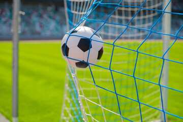 soccer ball in goal net with green grass