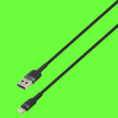 Cable with USB connector, and Lightning, on a green background